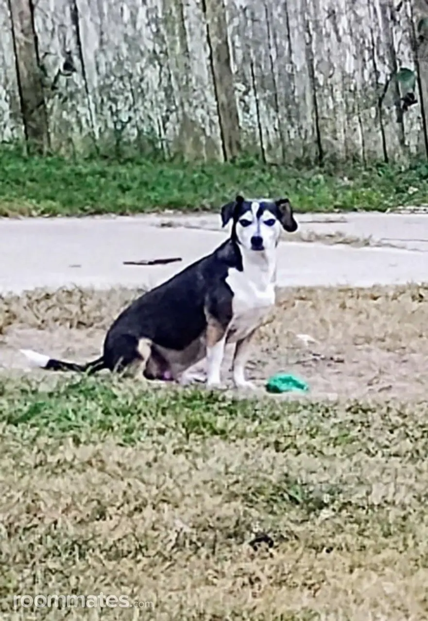 Profile photo 2 of 6