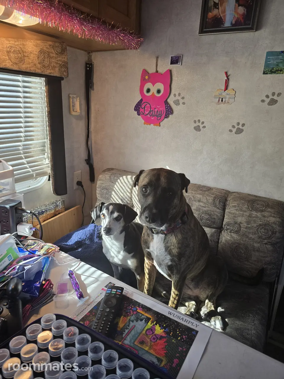 Profile photo 6 of 6