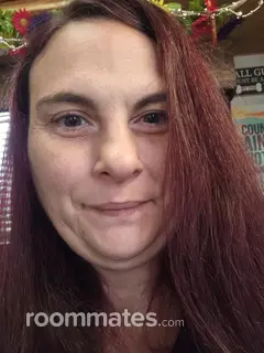 Roommate looking Deland, FL, $600