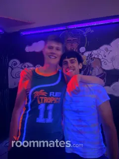 Roommate looking Saint Charles, IL, $1000