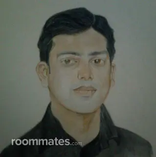 Roommate looking Frisco, TX, $600