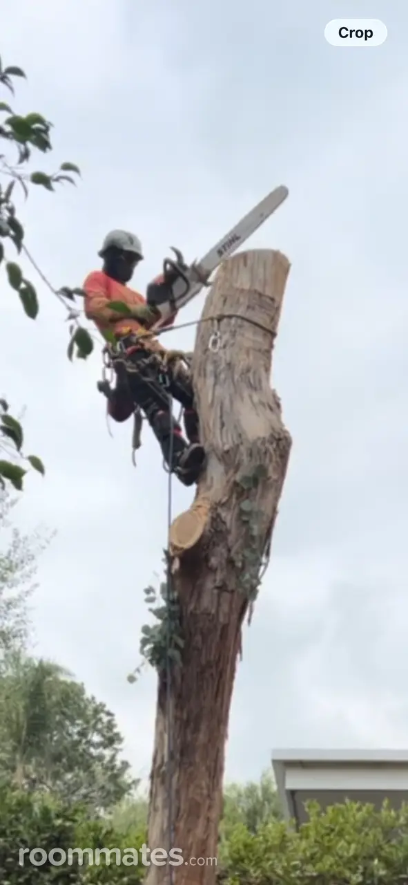 Profile photo 2 of 2