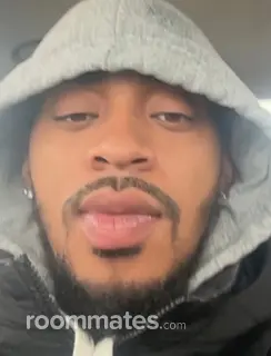 Roommate looking Richton Park, IL, $800