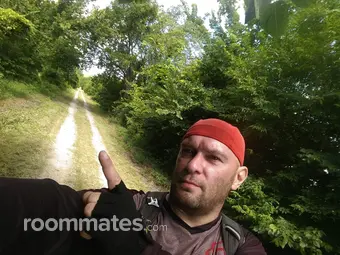 Thumbnail 13