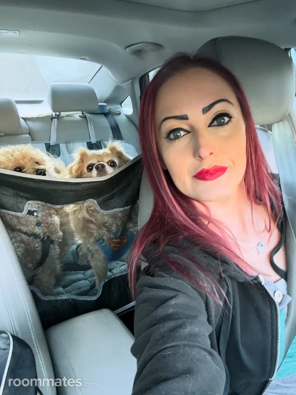 Profile photo 7 of 7