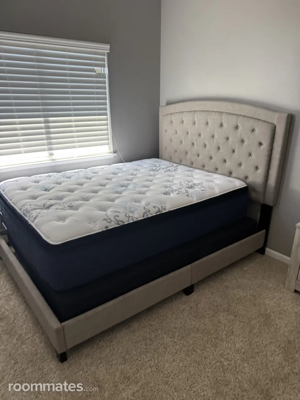 Profile photo 10 of 11