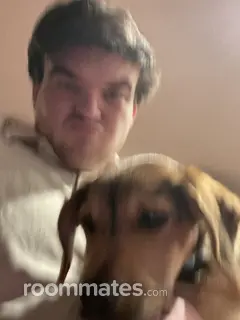 Roommate looking Newmarket NH, $1300