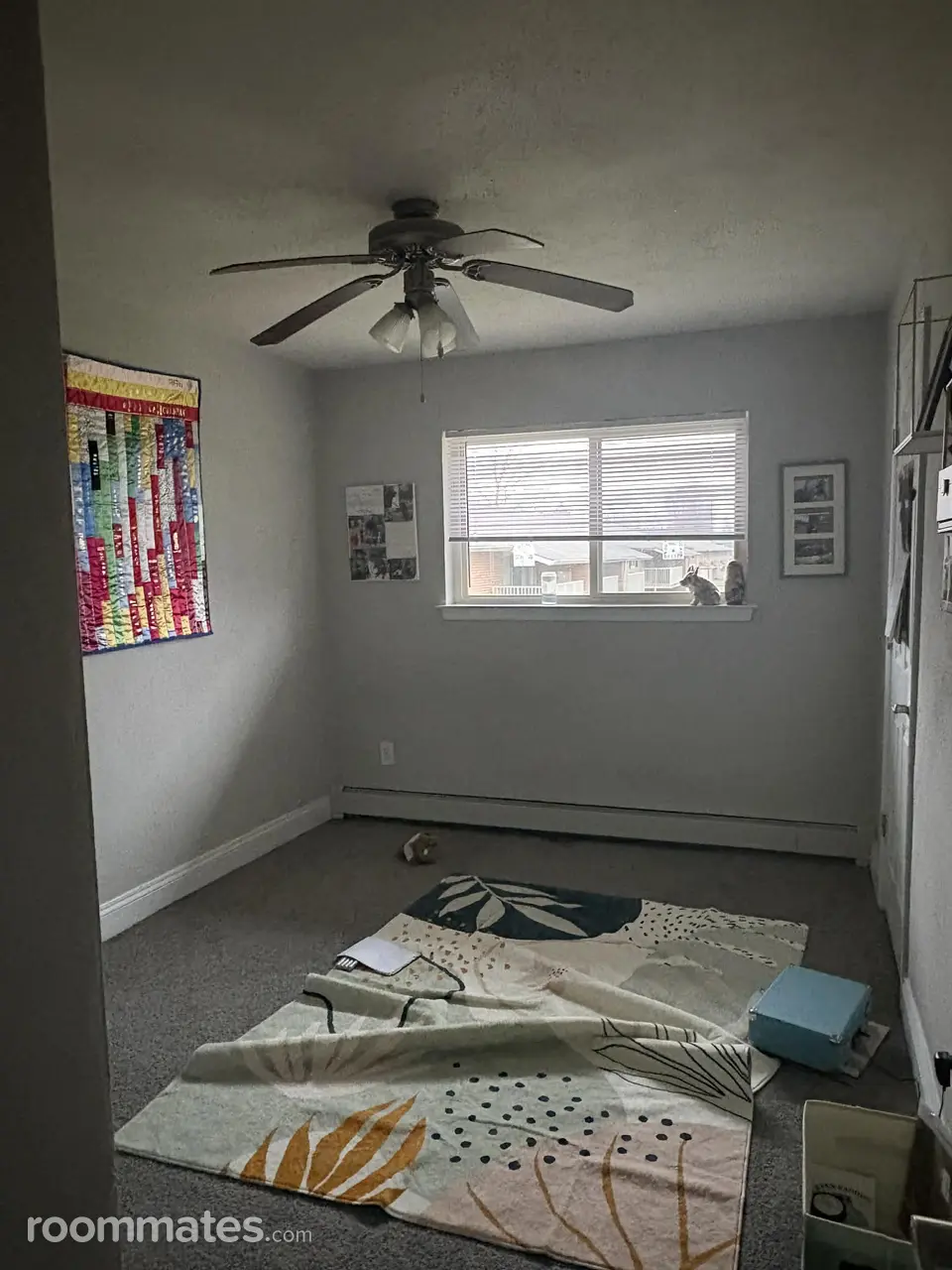 Profile photo 2 of 6