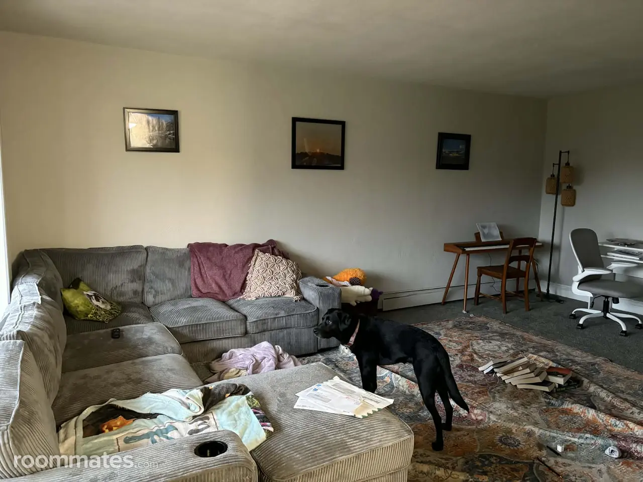 Profile photo 3 of 6