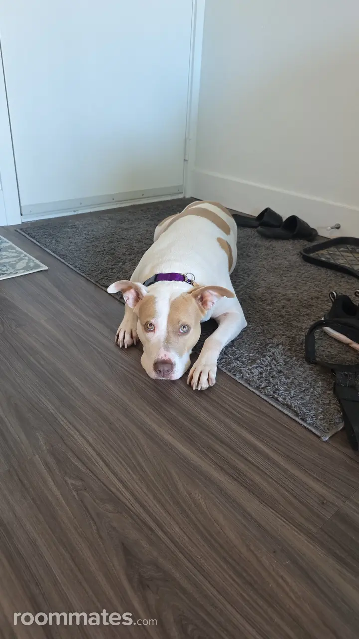 Profile photo 2 of 3