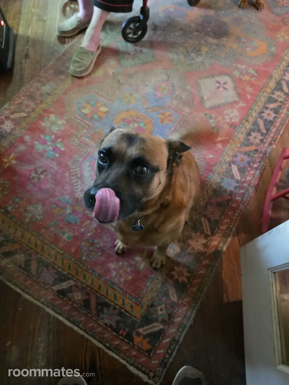 Profile photo 4 of 4