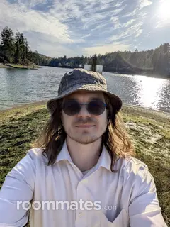 Roommate looking Lacey, WA, $900