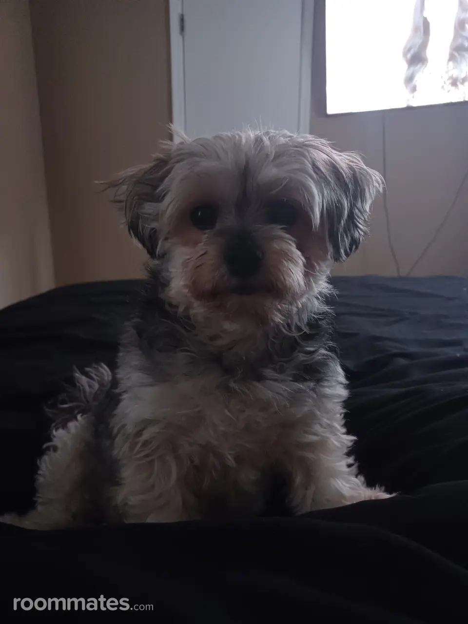 Profile photo 2 of 2