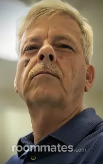 Roommate looking Oldsmar, FL, $1100