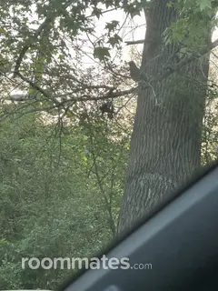 Room for rent in Jacksonville, AR $550, house