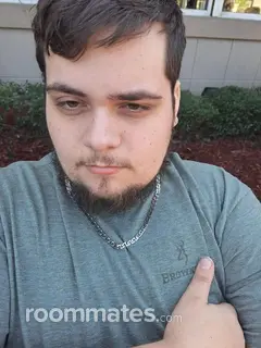 Roommate looking Jacksonville, FL, $900