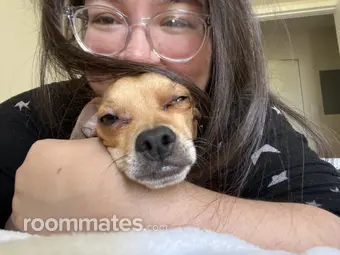 Roommate looking San Mateo, CA, $2000