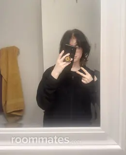 Roommate looking Pittsburgh, PA, $600