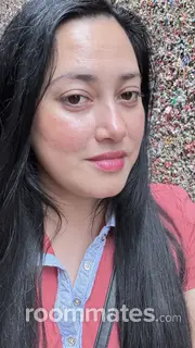 Roommate looking Lorton VA, $900