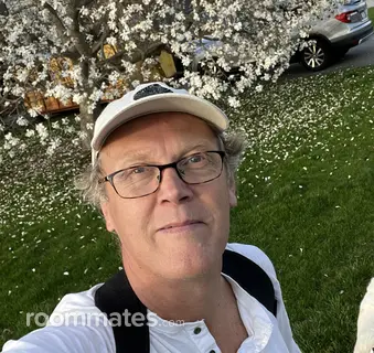 Roommate looking Bristol, RI, $1600