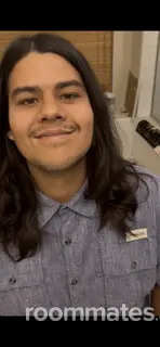 Roommate looking Conroe, TX, $900