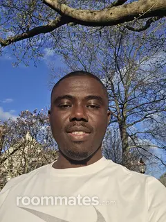 Roommate looking Foxboro, MA, $1000