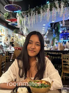 Roommate looking Pittsburgh, PA, $700