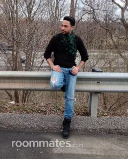 Roommate looking Coraopolis, PA, $800
