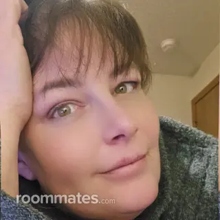 Roommate looking Saint Louis, MO, $900