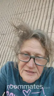 Roommate looking Clearwater, FL, $900