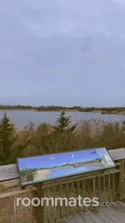 Roommate looking Egg Harbor Township, NJ, $900