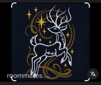 Roommate looking Minneapolis, MN, $800