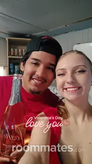 Roommate looking Des Plaines, IL, $600