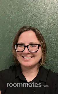 Roommate looking Saint Petersburg, FL, $1000