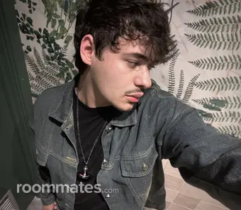 Roommate looking Seattle, WA, $1000