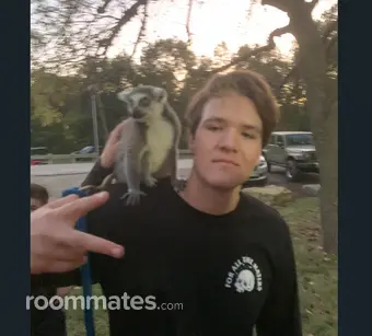Roommate looking Houston, TX, $2000