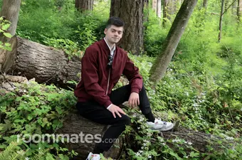 Roommate looking Beaverton, OR, $1100