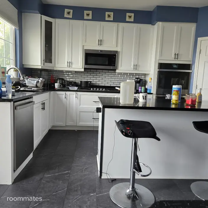 Room for rent in Mundelein, IL $1200, house