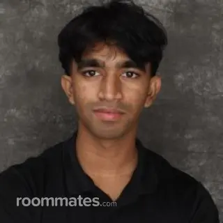 Roommate looking Providence, RI, $1000
