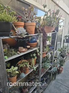 Room for rent in San Diego, CA $1200, apartment