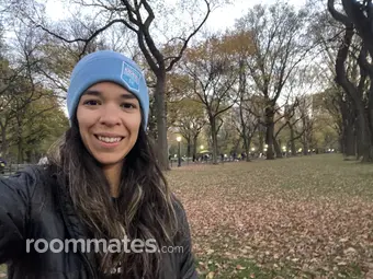Roommate looking Chicago IL, $1000