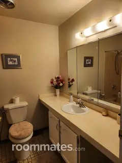 Room for rent in Schaumburg, IL $650, house
