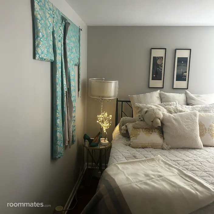 Room for rent in Clarendon Hills IL $1500, house