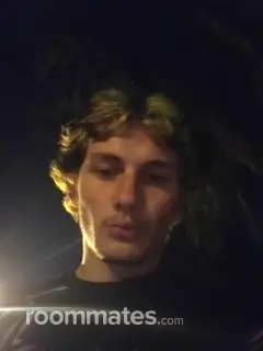 Roommate looking Phoenix, AZ, $400