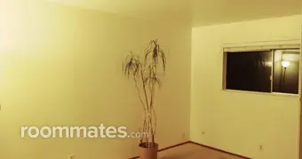 Room for rent in San Jose, CA $1350, apartment
