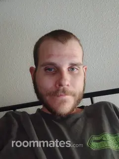 Roommate looking Mesa, AZ, $700