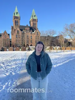 Roommate looking Buffalo, NY, $700
