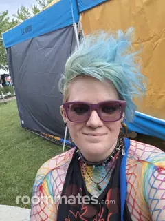 Roommate looking Holland, MI, $1000