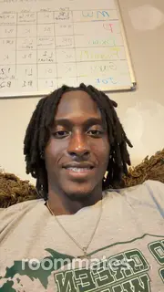 Roommate looking Grand Rapids, MI, $800