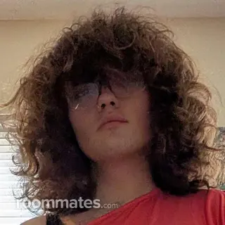 Roommate looking Bloomington, IN, $600